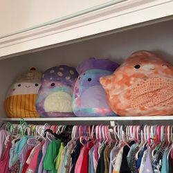 Plushes 20$ For All
