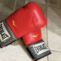 Everlast boxing gloves 16oz