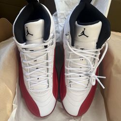 2023 Jordan 12 Retro Cherry 🍒 DS sz10.5