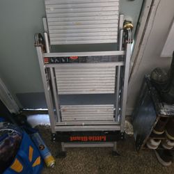 Little Giant Jumbo step