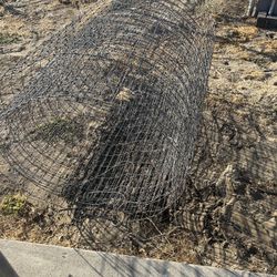 Chicken Wire