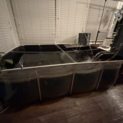 A 500-gallon fish pond and a large filtration system.