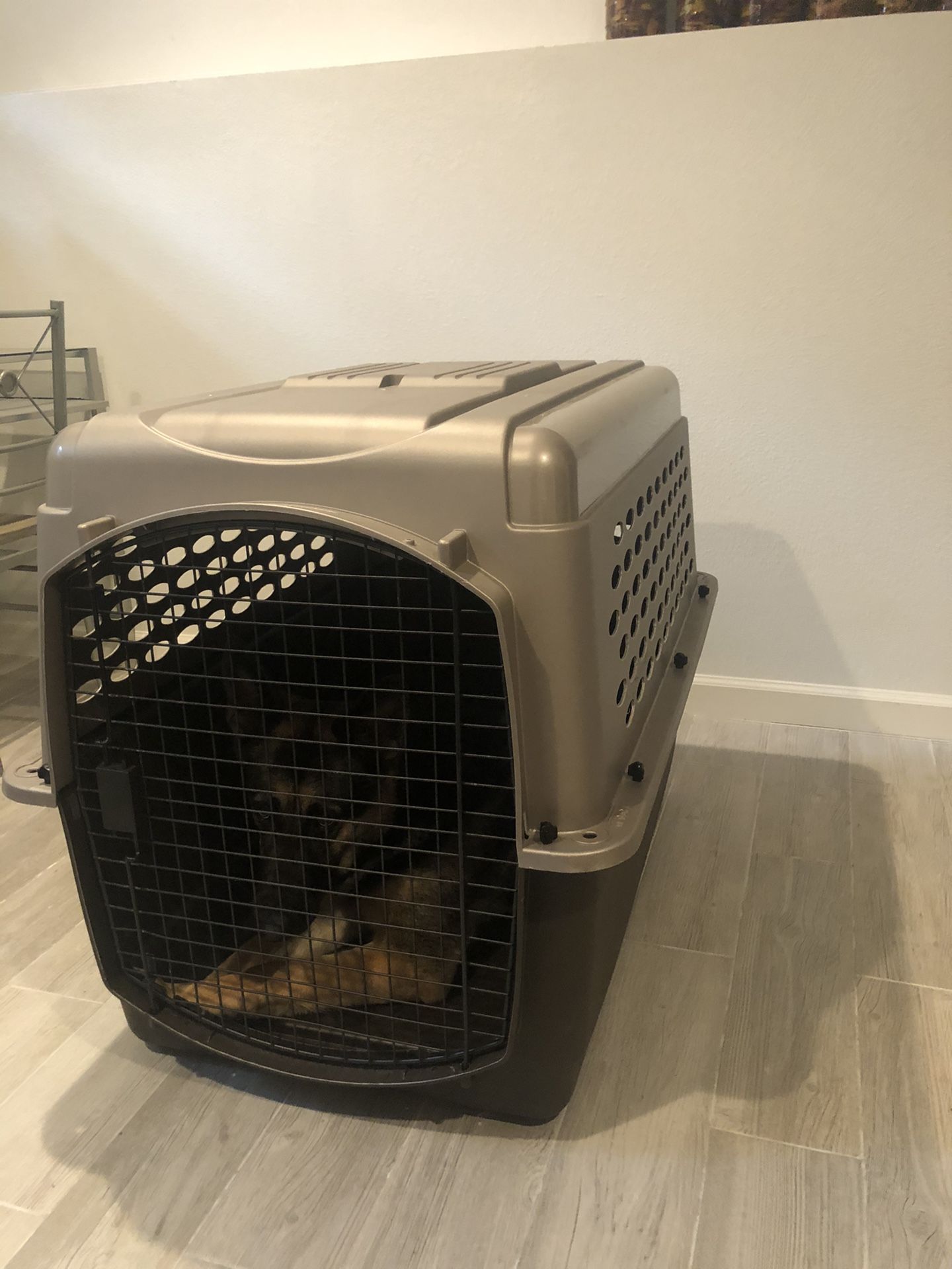 Dog crate - 80lb dog