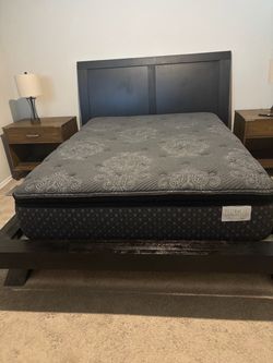Queen Bed and Mattress