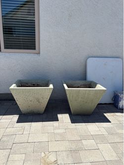 Cement Planters/Pots, Great for Trees/Plants