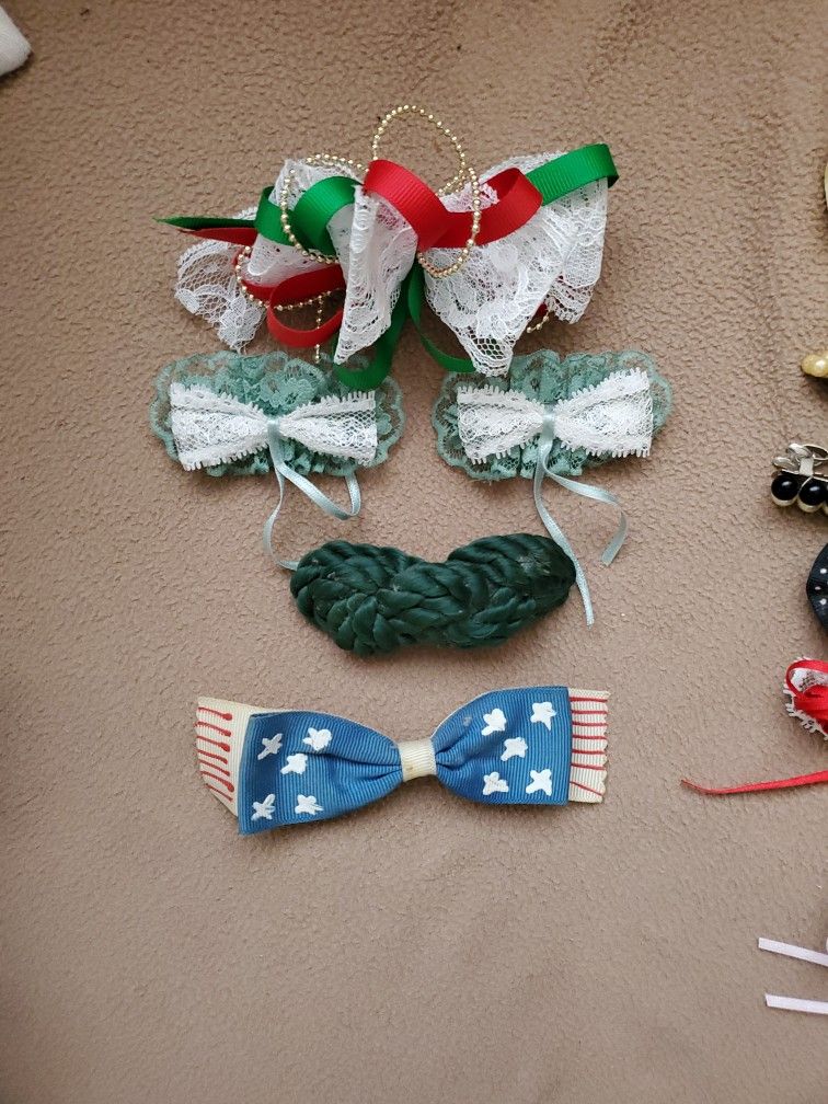 Hair Clips (19)