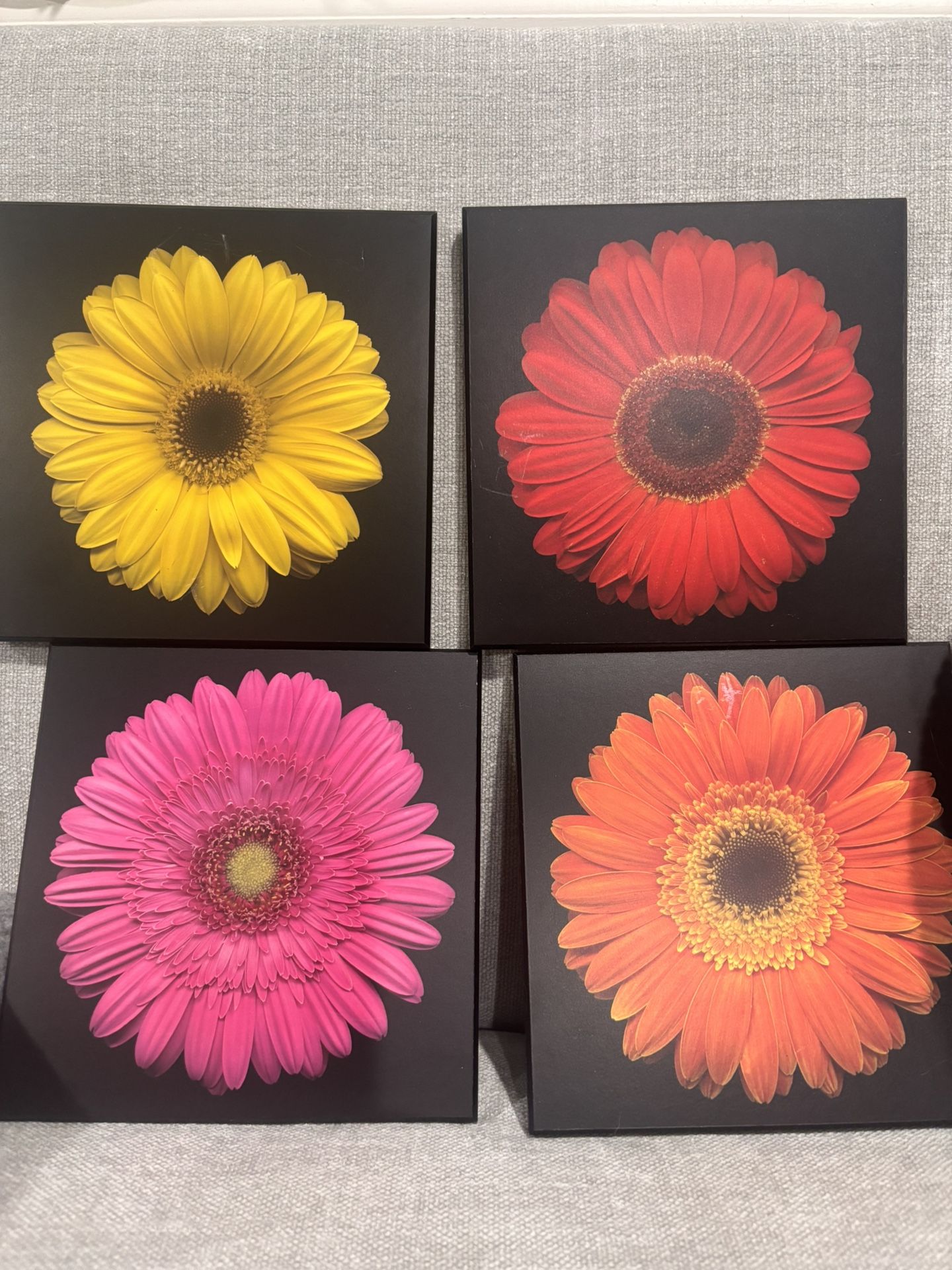 Set Of 4 Gerbera Daisies Plaques
