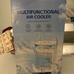 Multifunction air cooler