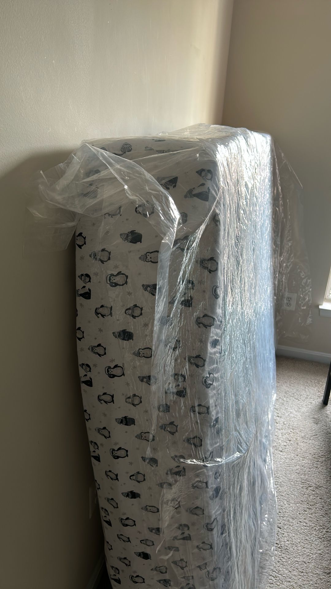 Lightly Used Queen Size Mattress