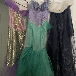 Princess Dresses 