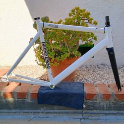 State Black Label V2 Frameset  