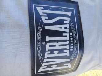 Everlasting punching bag