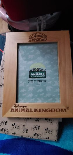 Animal Kingdom picture frame