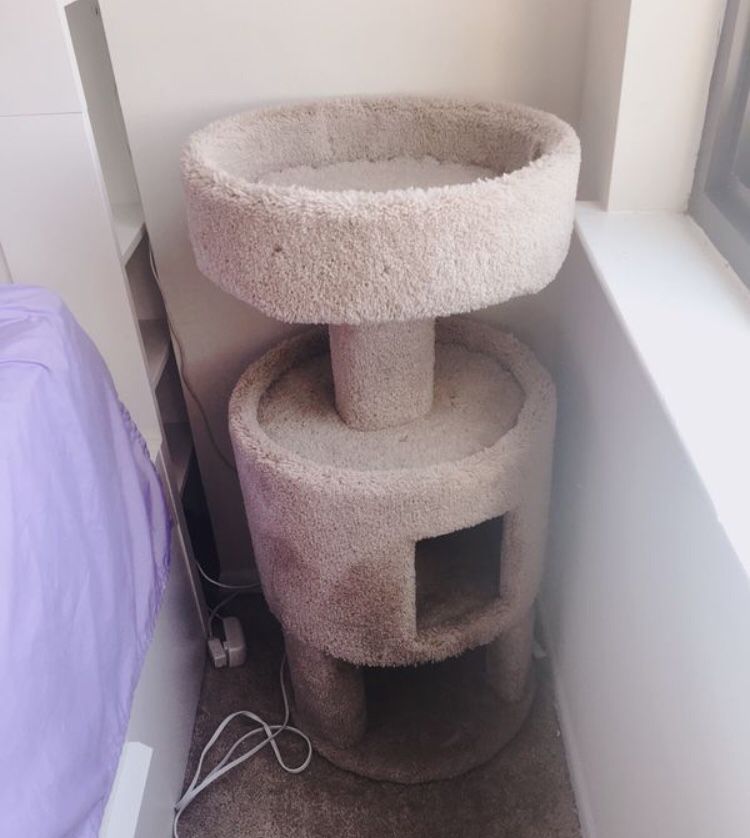 Cat tree great condition