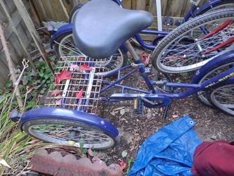 3 wheel bicycle