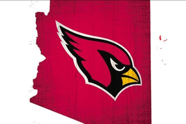 Arizona cardinals/ denver broncos