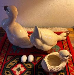CRIANZA DE PATOS CON SUS CRIOS DE PORCELANA