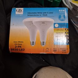 Light Bulbs (Adjustable By 5 Colors 65 Watts )