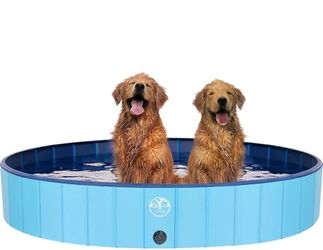 63" Large Collapsible Dog Pool