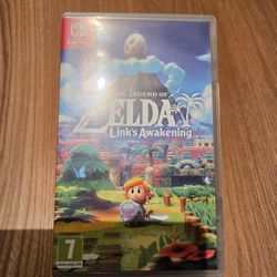 The Legend of Zelda Link's Awakening Nintendo Switch 