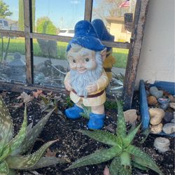 Very Old Gnome.  