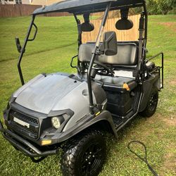 Bison SSR 200 UTV Golf Cart