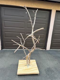 Birds stand / perch