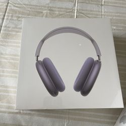 Purple Headphones 