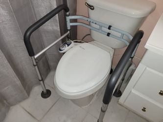 Toilet Safety Rails