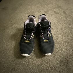 size 11 LeBron basketball shoes