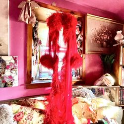 Red ostrich Feather peognoire Robe