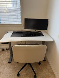 Sit/Stand Flexispot Desk