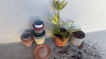 Free pots