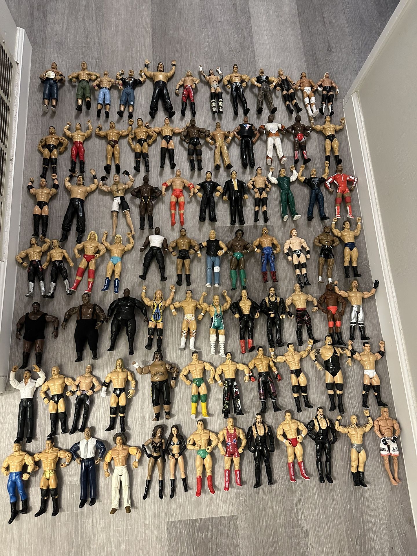 WWE/UFC action figures