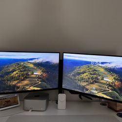 2 Samsung S8 Viewfinity 4K and UHD Monitors (Thunderbolt with daisy chaining)