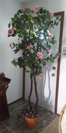 Tree in clay pot! 7 ft. Tall & 20 lbs!