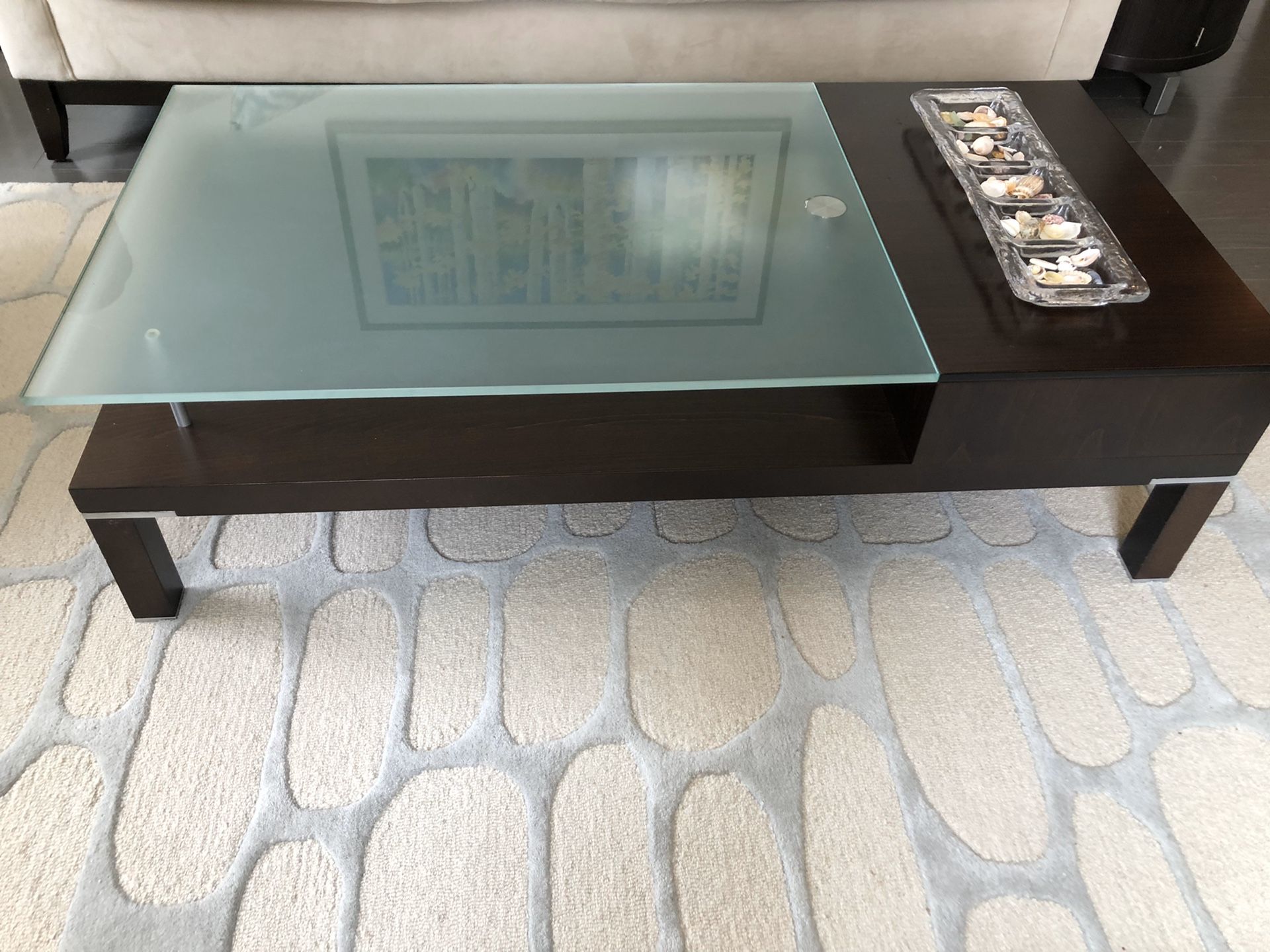 Modern Glass Top Coffee Table & Accent Table w/storage