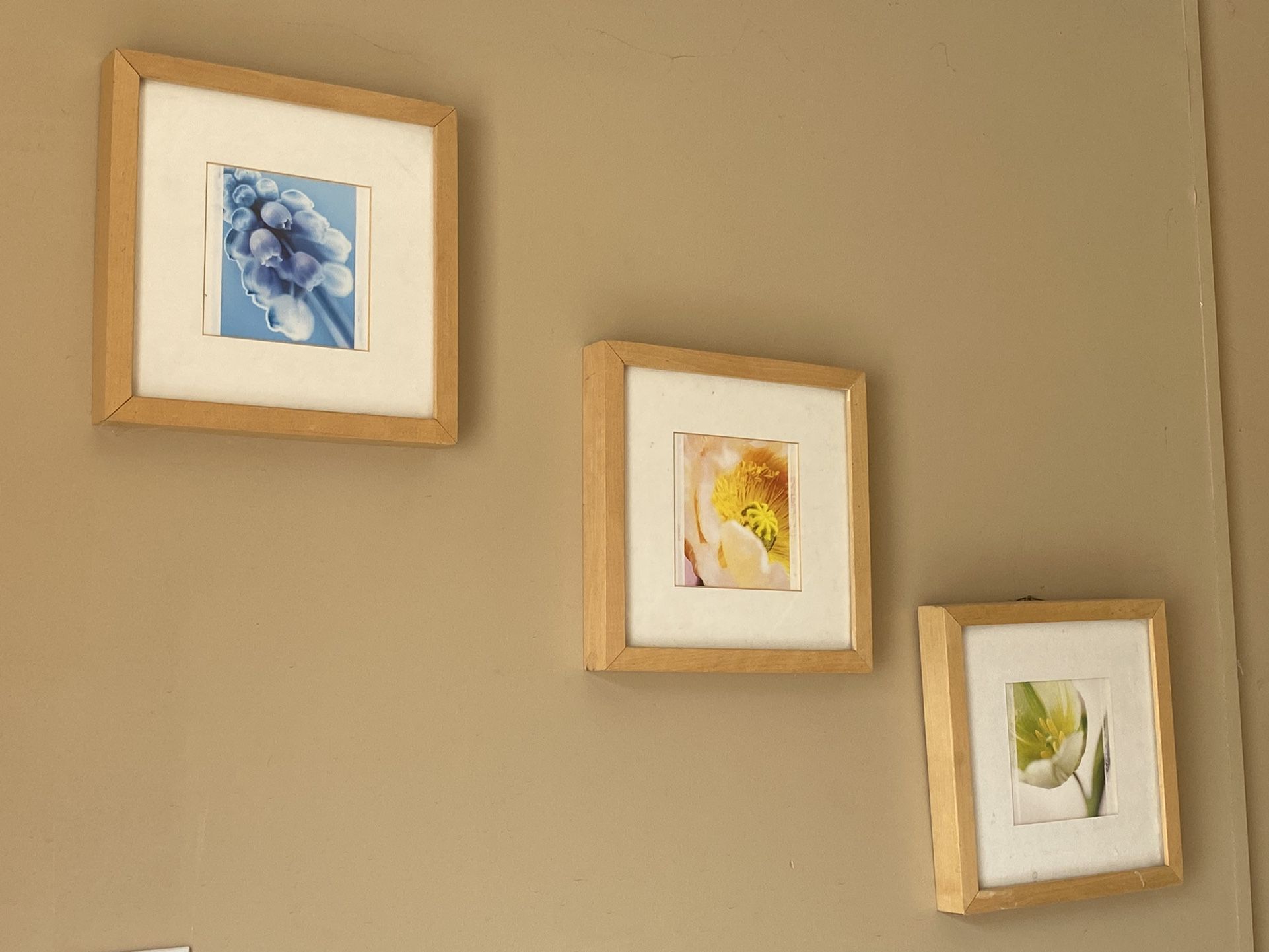 Wall Picture Frames 