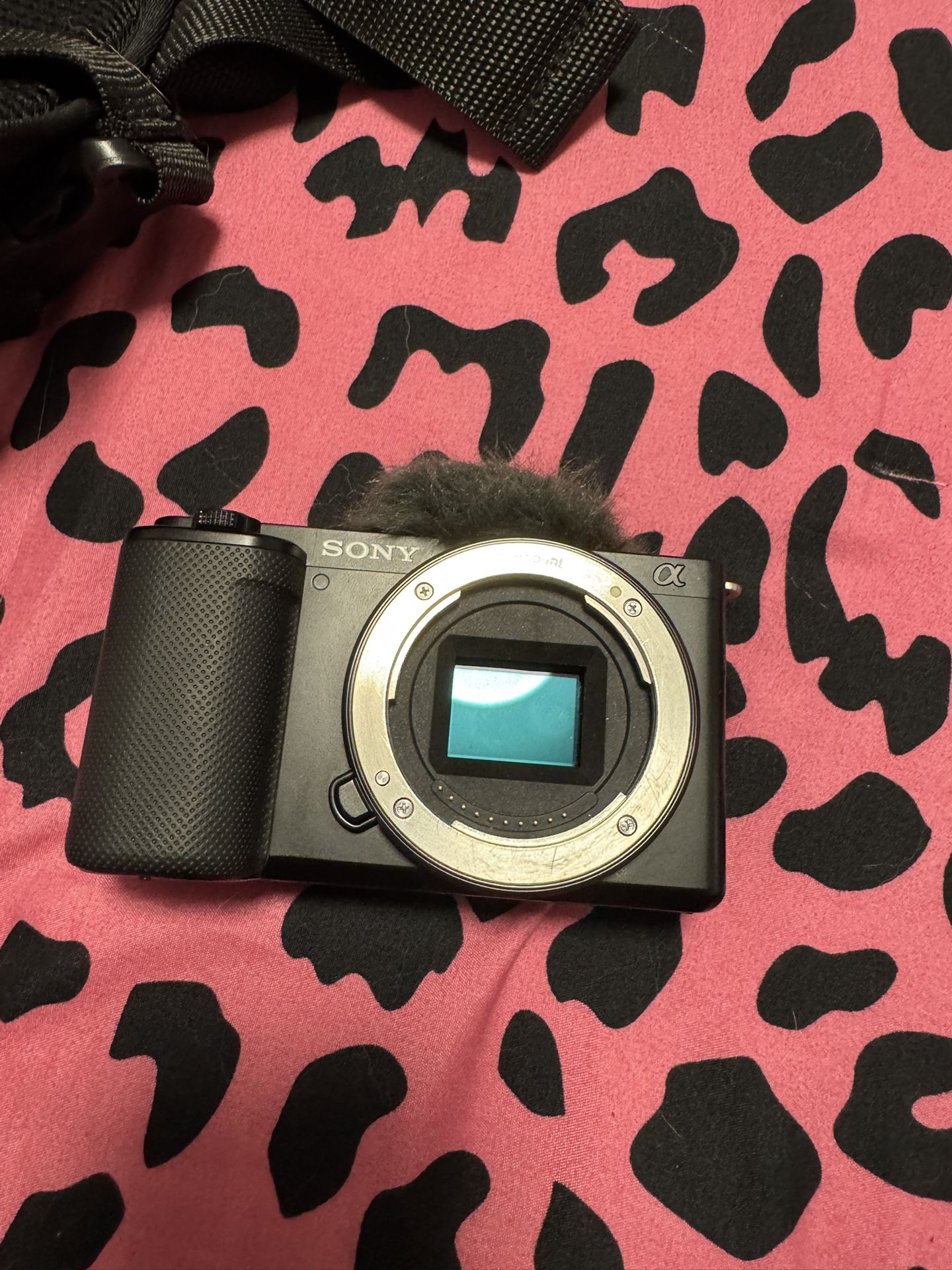 sony zve10 with Tamron 17-70mm f/2.8