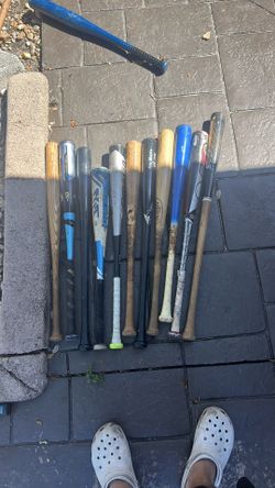 bats