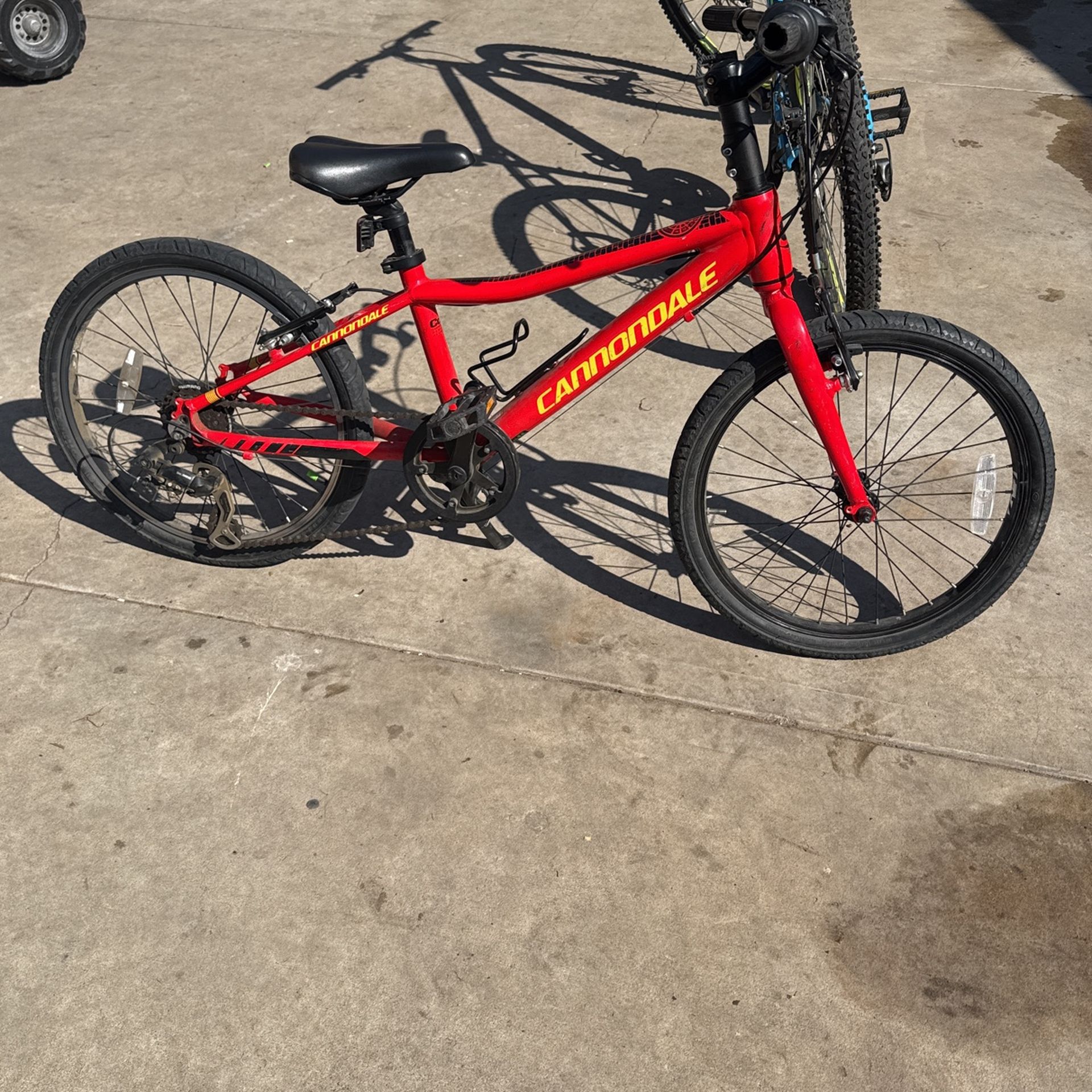 Cannondale Bike