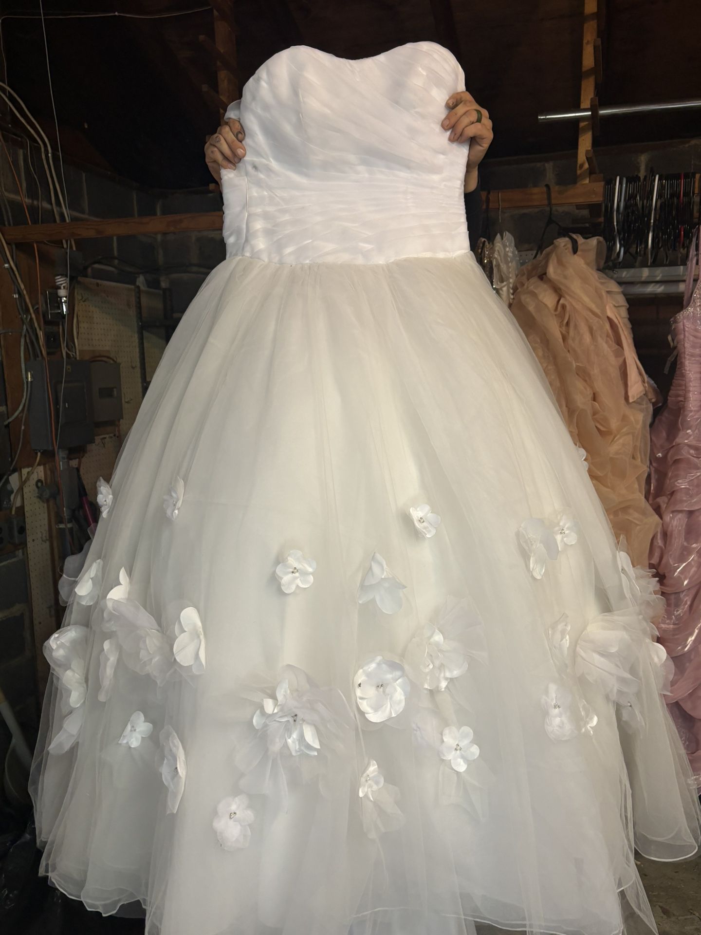 Designer Dresses