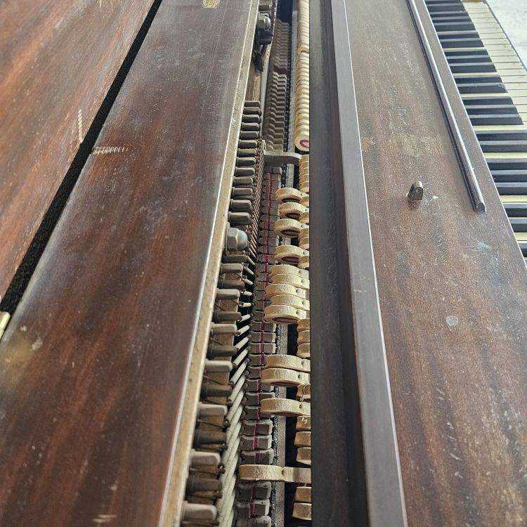 PIANO 1 DOLLAR