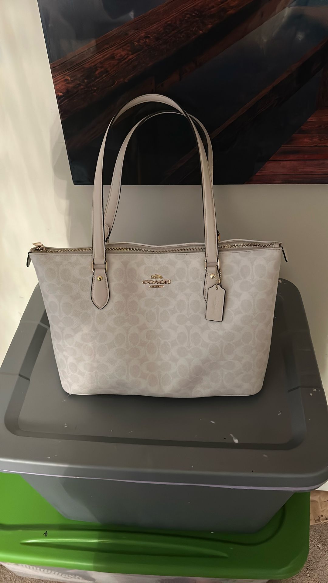 City Tote Bag In Signature Canvas