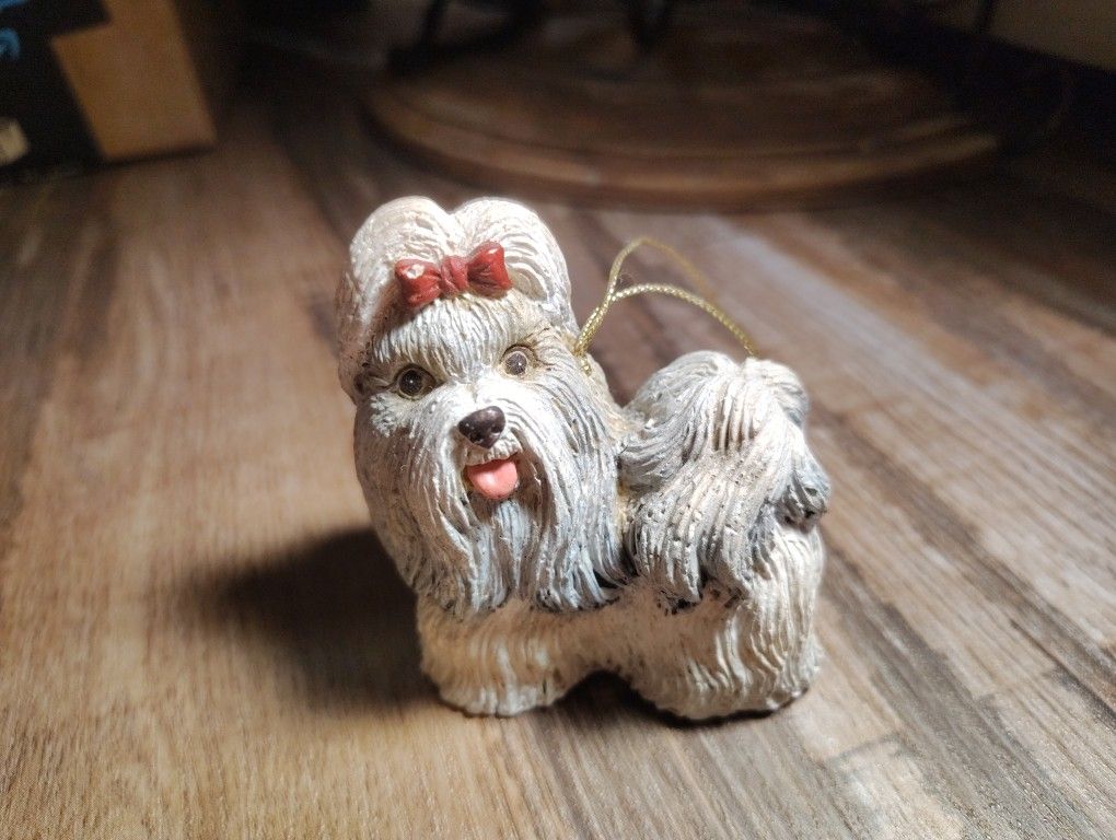 Shit Su Or A Maltese Ornament