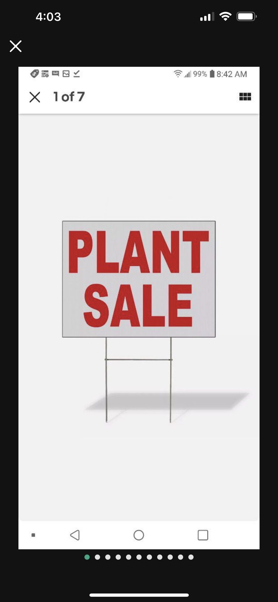 BIG PLANT SALE IN LARGO GOOD PRICES