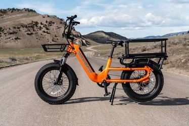 Manufacture price for family ebike cargo electric bike