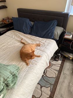 Fabric Bed Frame