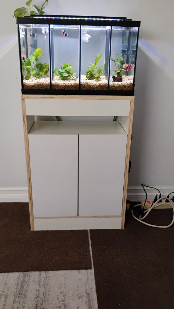 10 Gallon Bettas Fish Tank, Canister Filter, Brand New Light , New Custom Cabinet , Fish Not Included $265 Obo