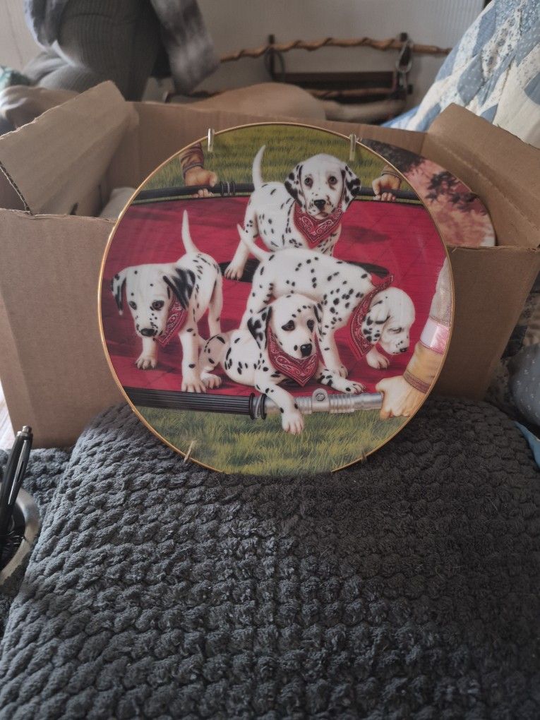 This Is A Collection Plate. It Said On The Back  Jump Drill.  The Year 1992